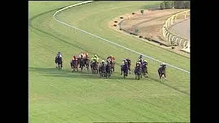 1998 Japan Cup (G1) | JRA Official