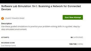 Software Lab Simulation 19-1: Scanning a Network for Connected Devices