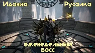 BDO Идания Русалка прохождение Наследным мудрецом