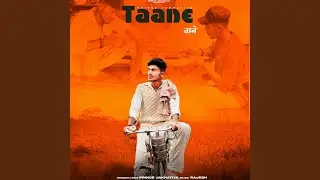 Taane