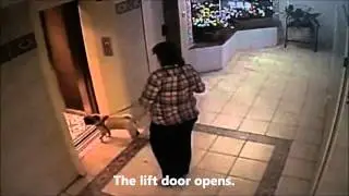 Dog Leash Caught in Lift Door Nearly Choked