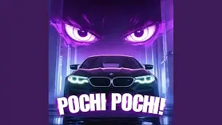 POCHI POCHI!
