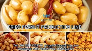 Professional Factory Fried Peanut Production Line#machine # Fried Peanut #Professional Factory