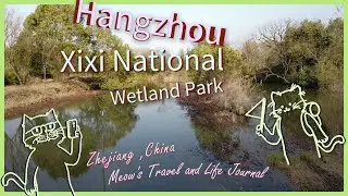China travel | Hangzhou Xixi Wetland & Sheraton ：A Perfect Day of Nature, Ducks & Dining