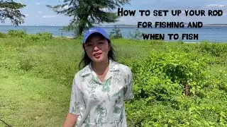 How to set up your rod for fishing and when to fish (for beginners)