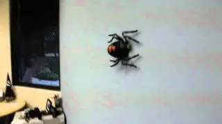 Web Runner Wall Crawling R/C Spider from ThinkGeek