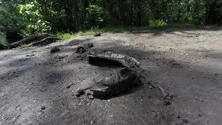 soft shell turtles slaughtered in the ocala national forest, contacted the FWC