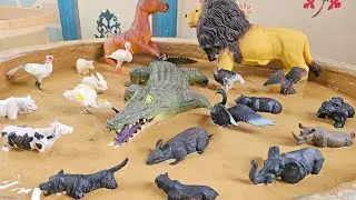 Croco, Horse & Lion: A Muddy Black and White Great Animal Union on the Mud!