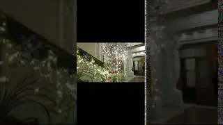 националь света