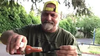 Celebrity Spice Review Challenge.  Pepper North Black Cherry & Reaper.