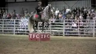 2012 Canadian National Championship Andalusian and Lusitano Horse Show High Lights