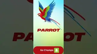 Pesky the Parrot #Animals #KidFriendlyFacts #FunLearning #parrot  #GoChampsFunFacts