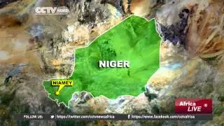 Niger Menengitis Outbreak : Death Toll Has Risen To 129