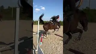 Yes again&hellip;✨ #horse #equestrian #cavalli #pony #camilla_deleonardis #didi #riding #equitazione