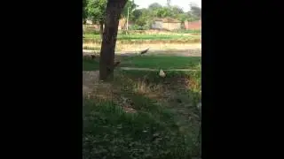 20130608 163609