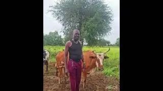 Ya Mathon Ngeng By Ring Machakos 