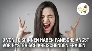 9 von 10 Spinnen haben panische Angst vor hysterisch kreischenden Frauen [Postillon24]