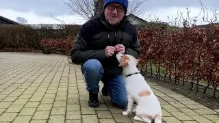 Start på et indkald af din hund