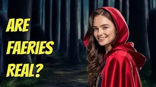 What happened at Knockma Forest