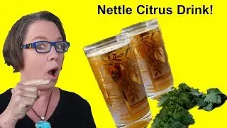 ✅ Nettle Tea with Citrus! A Nettle Leaf Tea Recipe Concept for You!