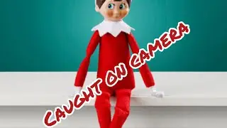 Elf caught on camera
