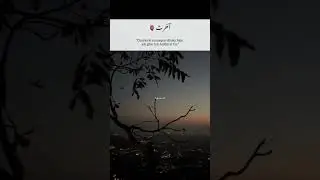 Islamic Videos || Islamic Status || Quran translation #islamicstatus #islamicvideo #shorts