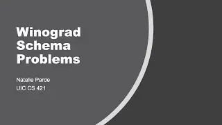 Winograd Schema Problems