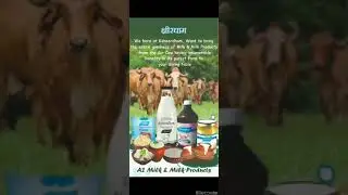 How to install Ksheerdham Mobile App