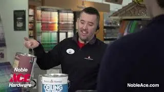 Noble Ace Paint