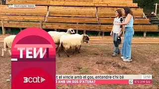 Mireia Colonques, la primera dona que guanya un concurs de gossos d'atura - Tot es mou