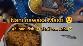 Nani nawasa Masti ☺️ Aaj badi fish 🐠 choti fish kahli 😭||rizsyedvlog||Hyderabad vloger 