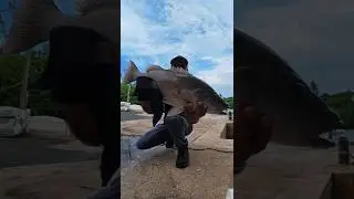 🔥 Handline + Leftovers = LEGENDARY Snapper!