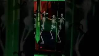 Halloween Spooky skeletons