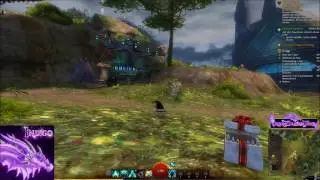Guild Wars 2 - Schatten-Rabe Verwandlung - Halloween