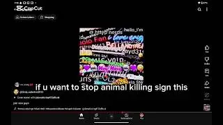 Stop killing animals