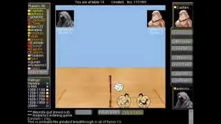 Ultimate Sumo Volleyball Experience