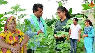 #विकीय_गो_ब्या - 1 राजस्थानी सामाजिक कॉमेडी विडियो ll Mahender Rajasthani comedy #MahenderRajasthani