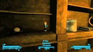 Fallout 3: Bobblehead Perception
