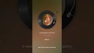 I Never Told You