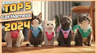 Top 5 Cat Harnesses on Amazon &ndash; Safe and Comfortable Options for Your Feline Friend