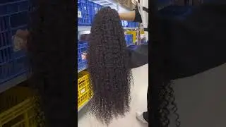 Hd Lace Full Virgin Brazilian Human Hair Wigs Deep Wave Curly Transparent Lace Front Human Hair Wigs