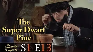 The Inventor's Scrapshop | The Super Dwarf Pine