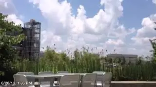 Time lapse of #arwx at Heifer Village.