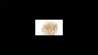 tumble_weed_.movfx