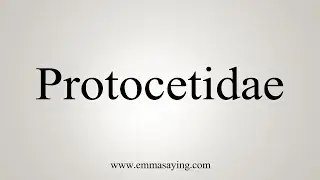 How To Say Protocetidae