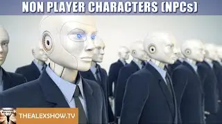 Non Player Characters (NPCs) or Organic Portals