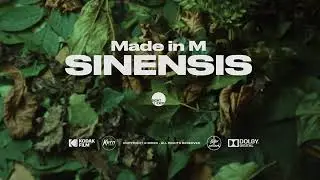Made in M &ndash; Sinensis