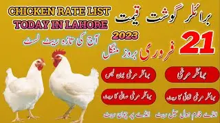 Chicken Rate | Chicken Rate List Today In Lahore (21.02.2023)