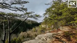 Hocking Hills - Conkle's Hollow Rim Trail (4K Virtual Hike)