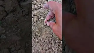Finding Beautiful Agate Stone #gems #stones #rock #crystals